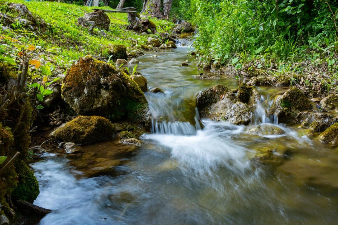 Kuca U Sumi - Forrest House Near Una National Park Bihać Zewnętrze zdjęcie